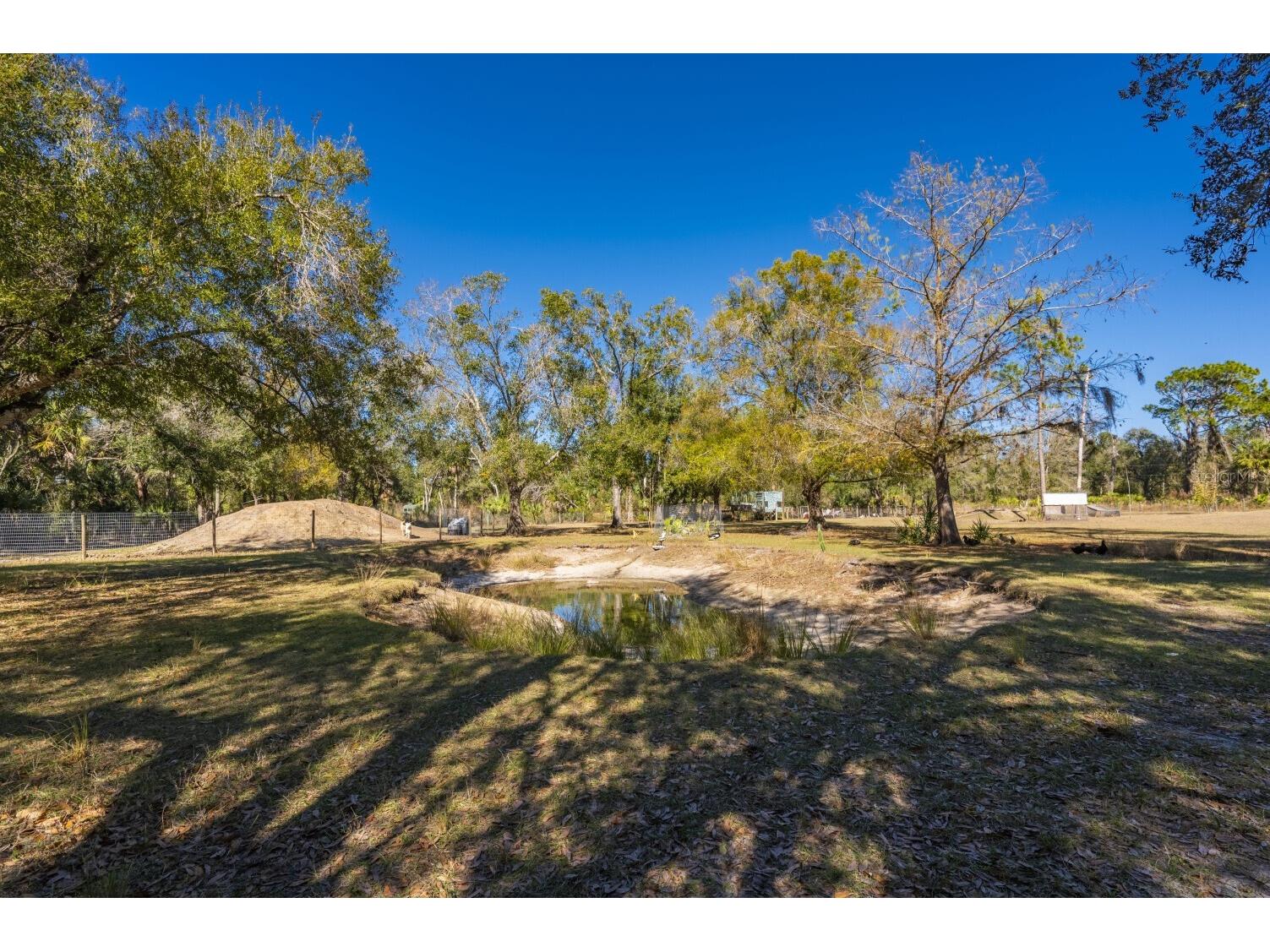 2207 SW Blossom Avenue Arcadia FL 34266 C7520150 image22