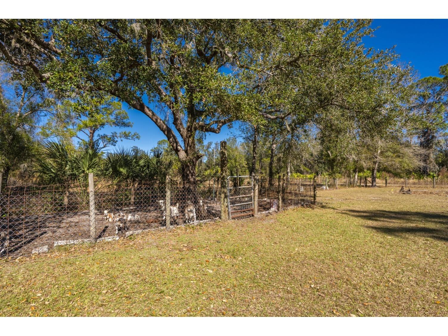 2207 SW Blossom Avenue Arcadia FL 34266 C7520150 image28