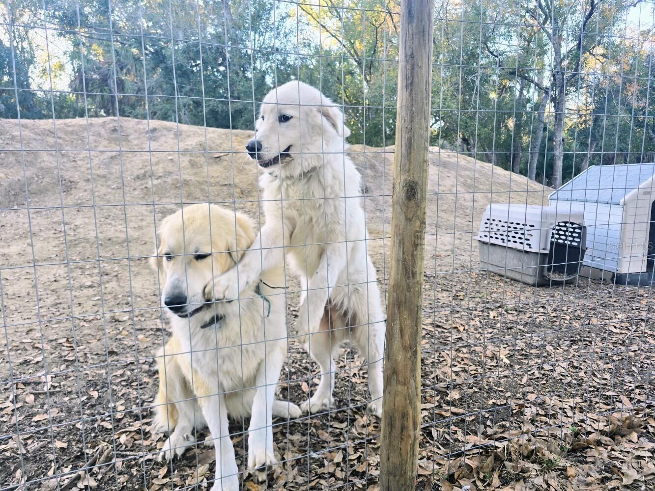 2207 SW Blossom Avenue Arcadia FL 34266 C7520150 image31