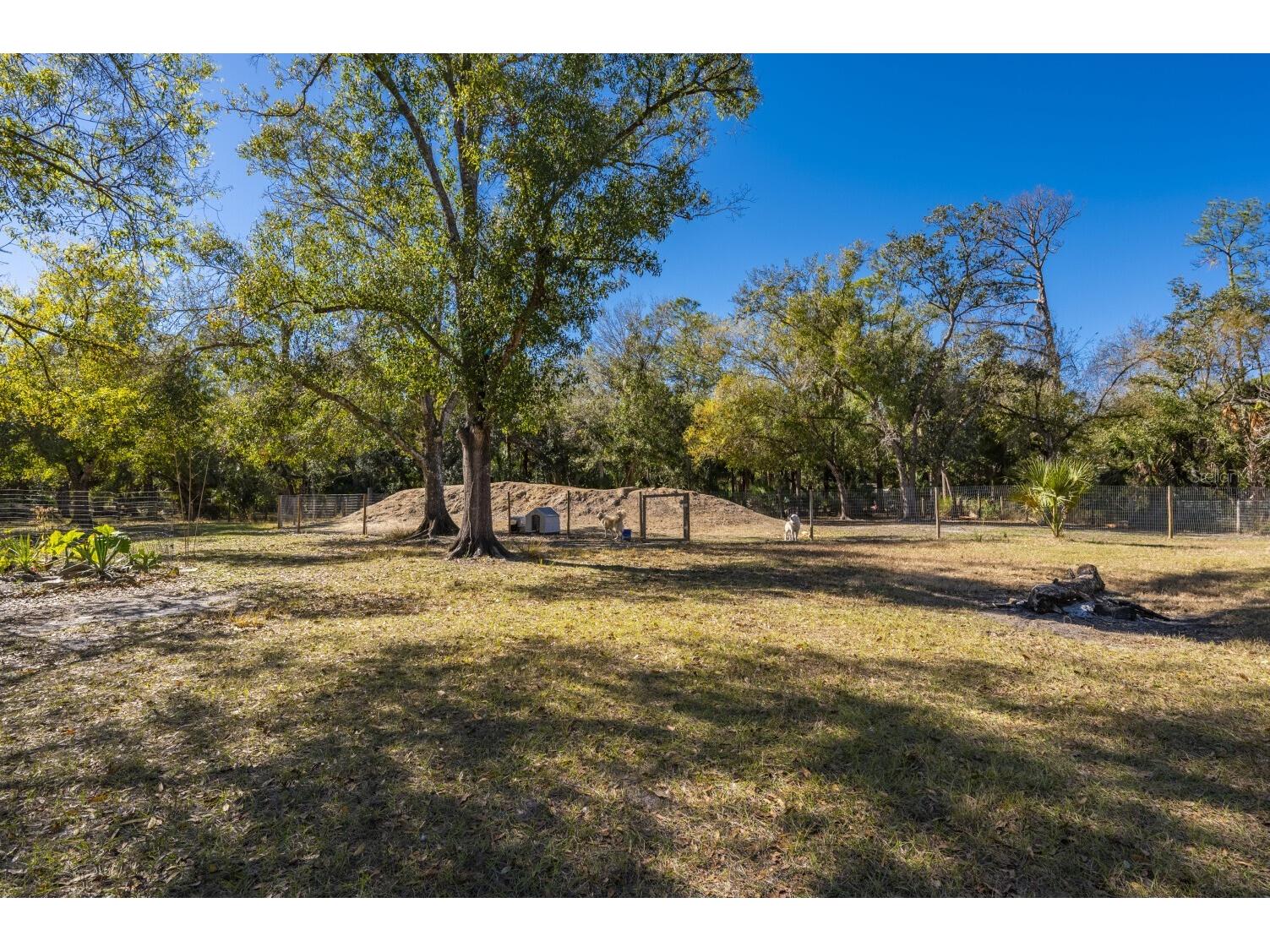 2207 SW Blossom Avenue Arcadia FL 34266 C7520150 image32