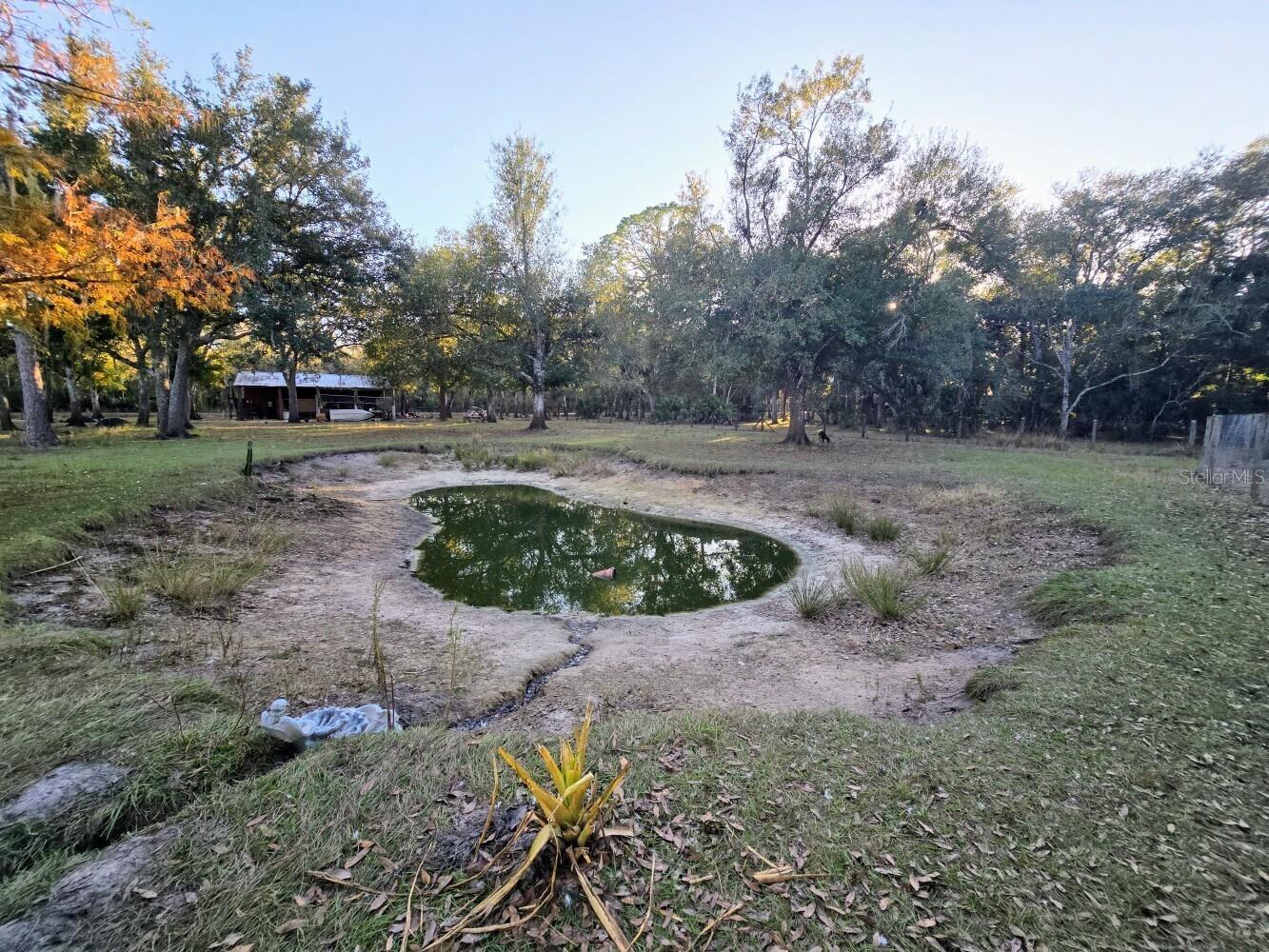 2207 SW Blossom Avenue Arcadia FL 34266 C7520150 image33