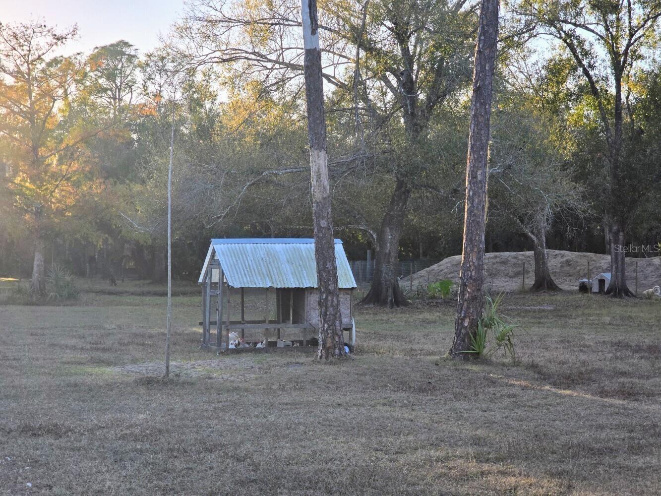 2207 SW Blossom Avenue Arcadia FL 34266 C7520150 image35