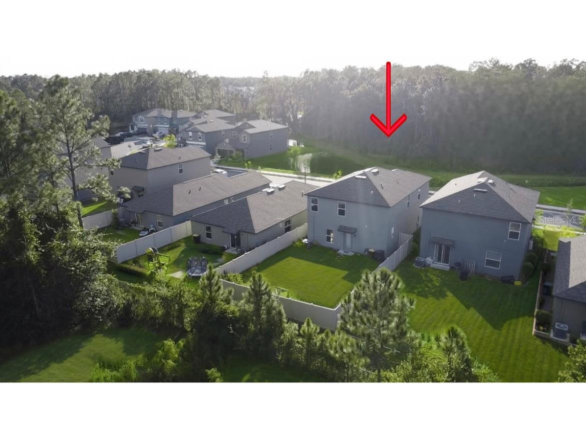 2207 Teneroc Trail Lakeland FL 33801 S5138435 image14