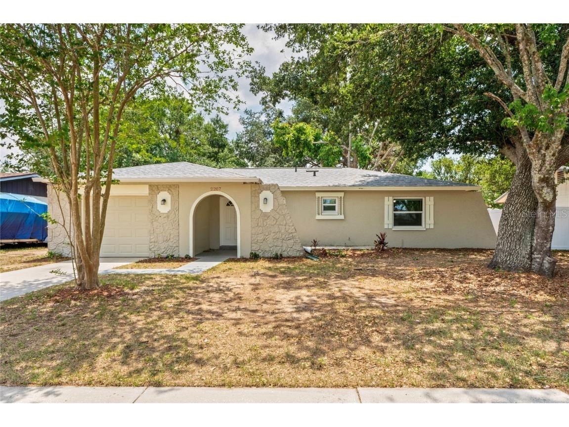 2207 Valleybrook Avenue Valrico FL 33594 TB8371414 image1