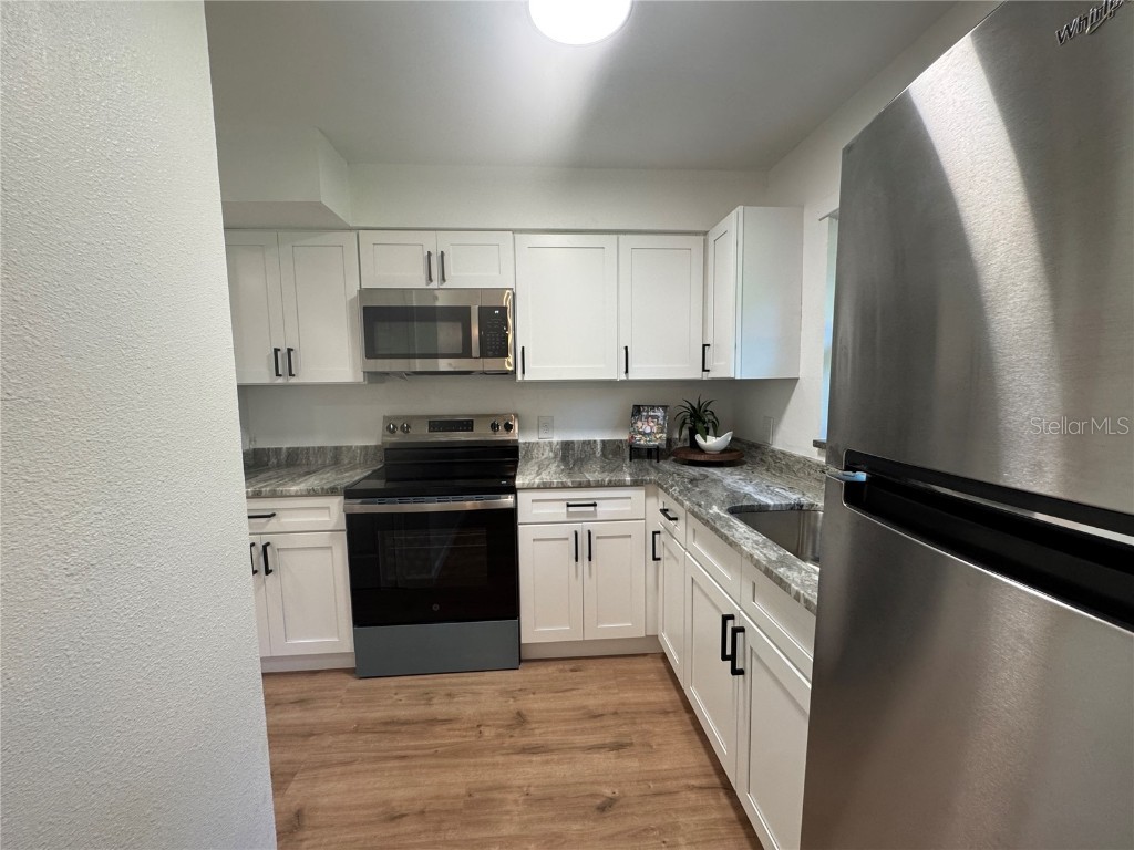 2207 Virginia Avenue Eustis FL 32726 O6352067 image4