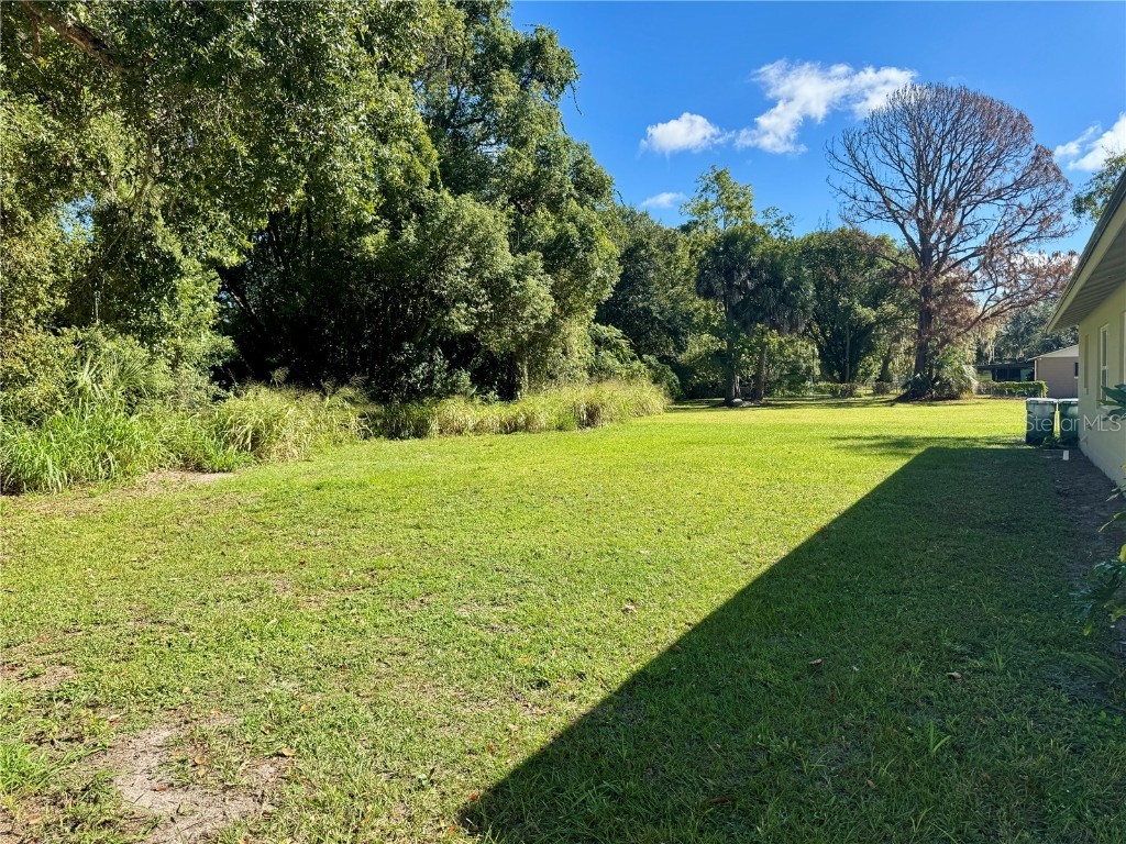 2207 Virginia Avenue Eustis FL 32726 O6352067 image9