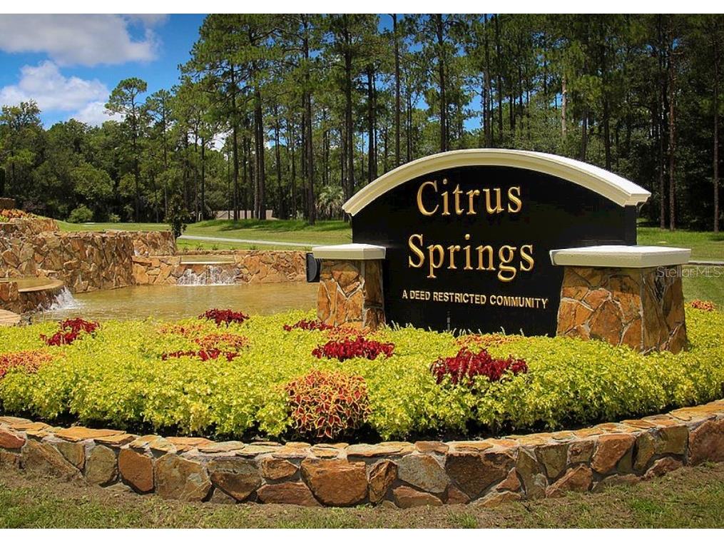 2207 W Landmark Drive Citrus Springs FL 34434 O6252296 image1