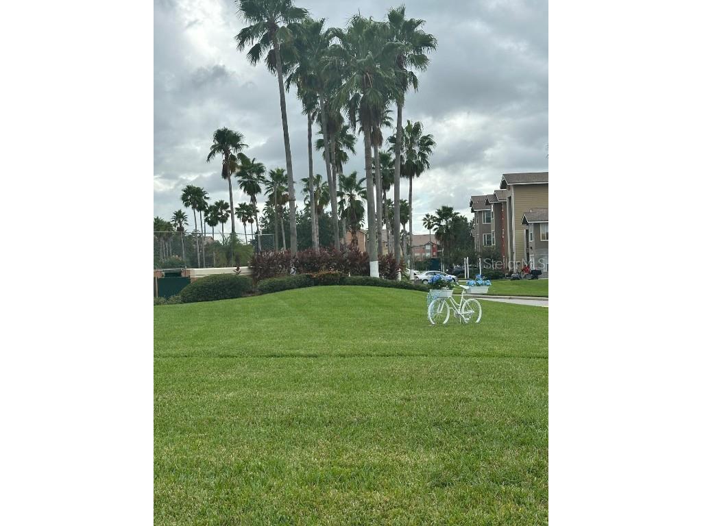 2208 Antigua Place #924 Kissimmee FL 34741 O6349687 image16