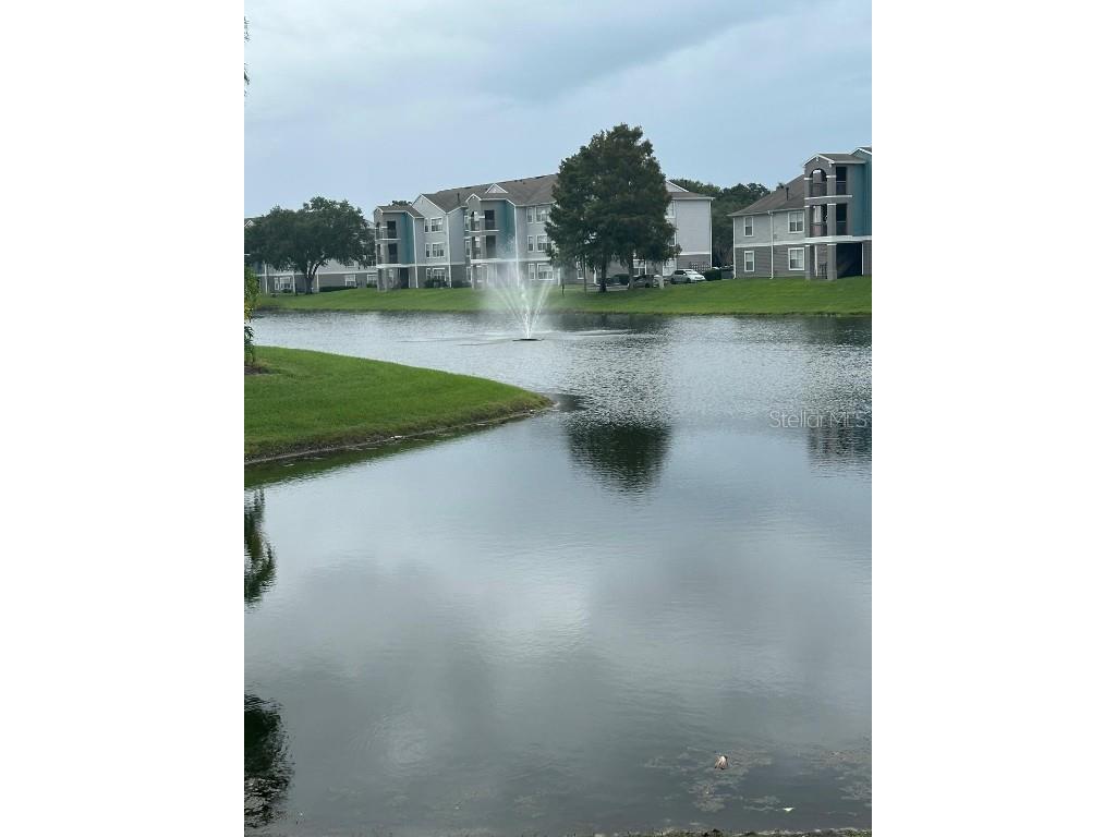 2208 Antigua Place #924 Kissimmee FL 34741 O6349687 image17