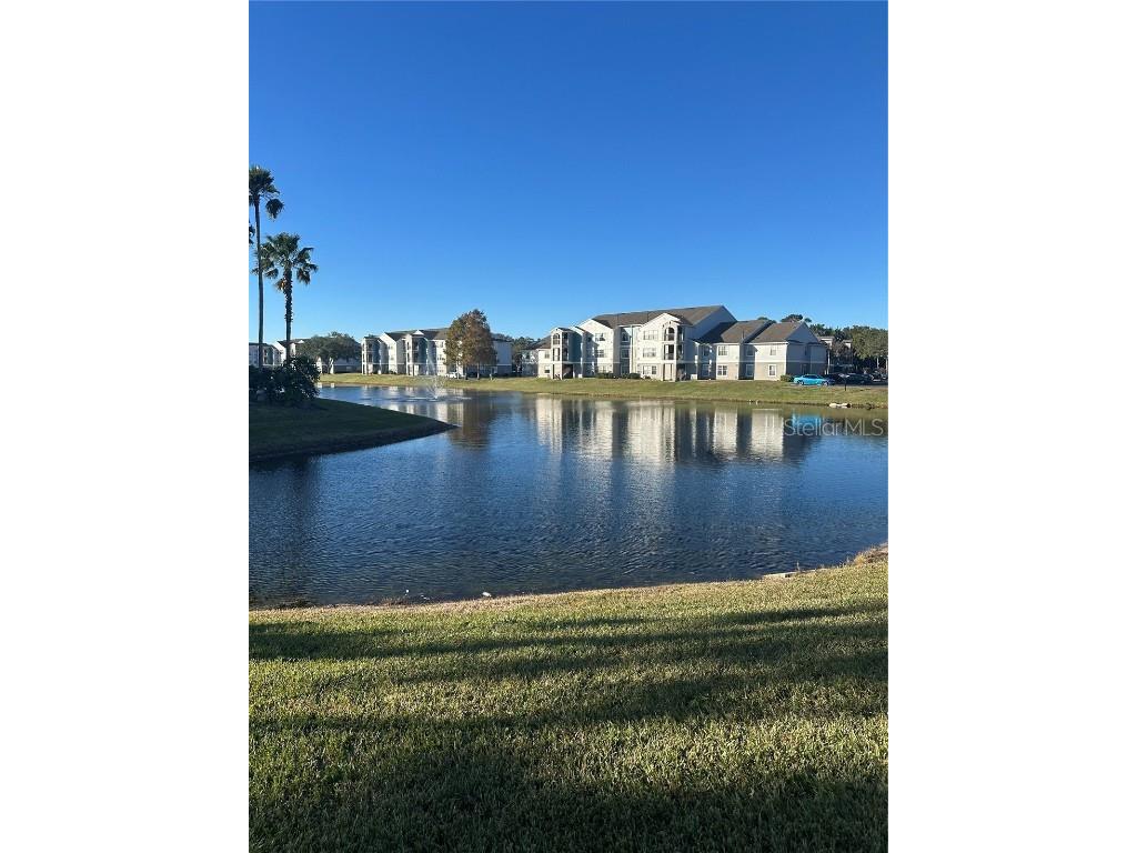 2208 Antigua Place #924 Kissimmee FL 34741 O6349687 image51