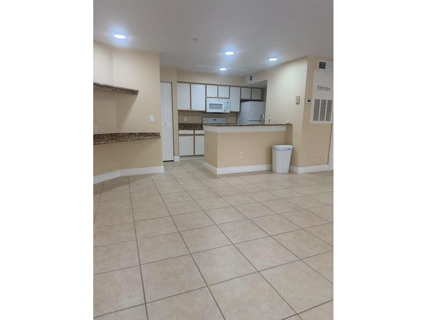 2208 Antigua Place #926 Kissimmee FL 34741 S5149155 image3