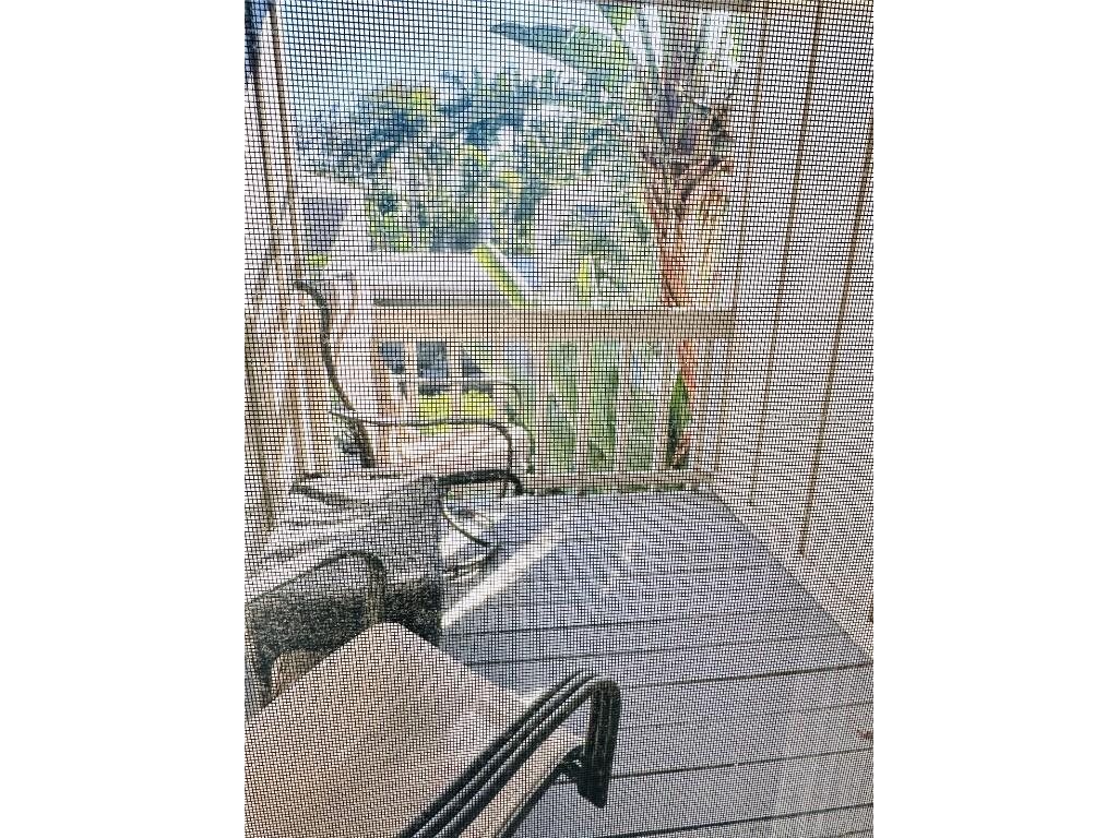 2208 Bahia Vista Street #F1 Sarasota FL 34239 A4675125 image20