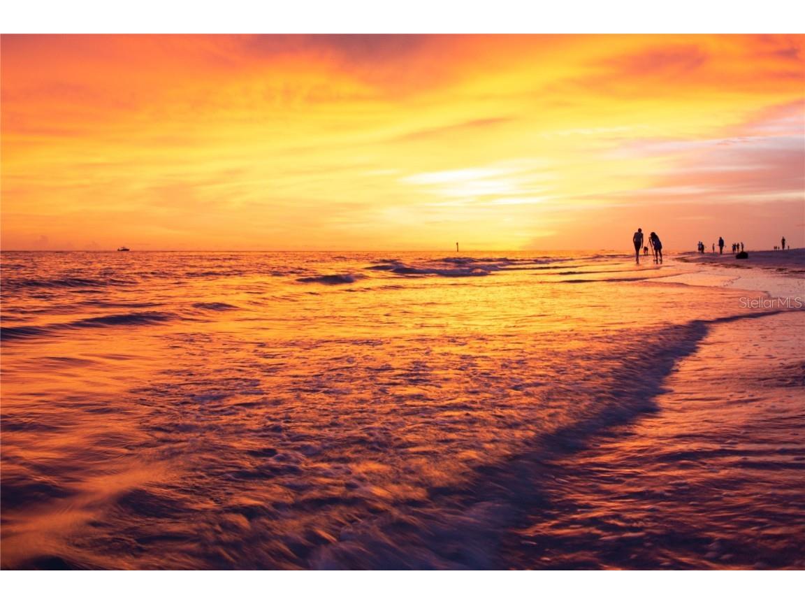 2208 Bahia Vista Street #F1 Sarasota FL 34239 A4675125 image23