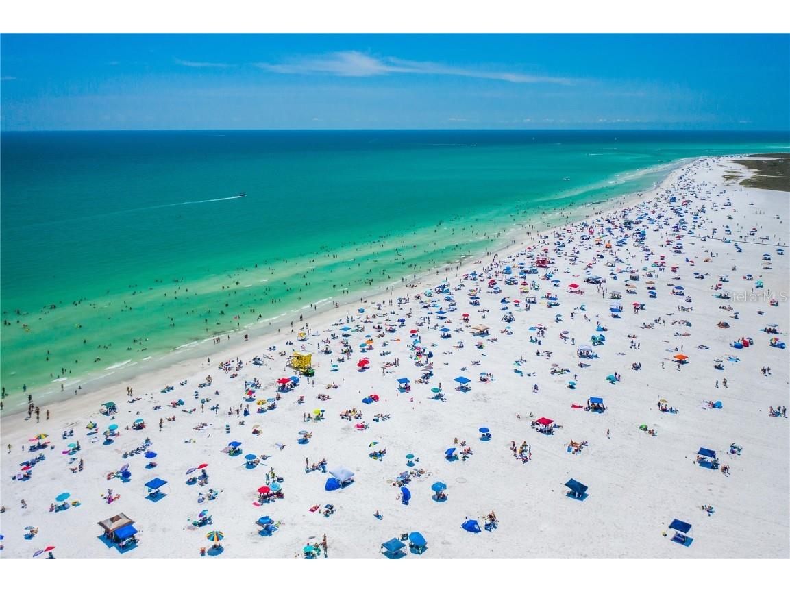 2208 Bahia Vista Street #F1 Sarasota FL 34239 A4675125 image24