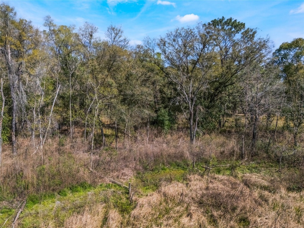 2208 Eisenhower Street Inverness FL 34453 O6290206 image1