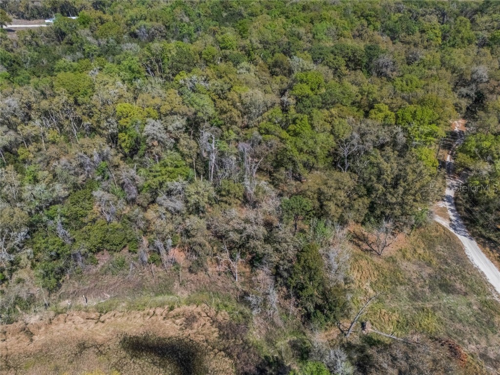 2208 Eisenhower Street Inverness FL 34453 O6290206 image11