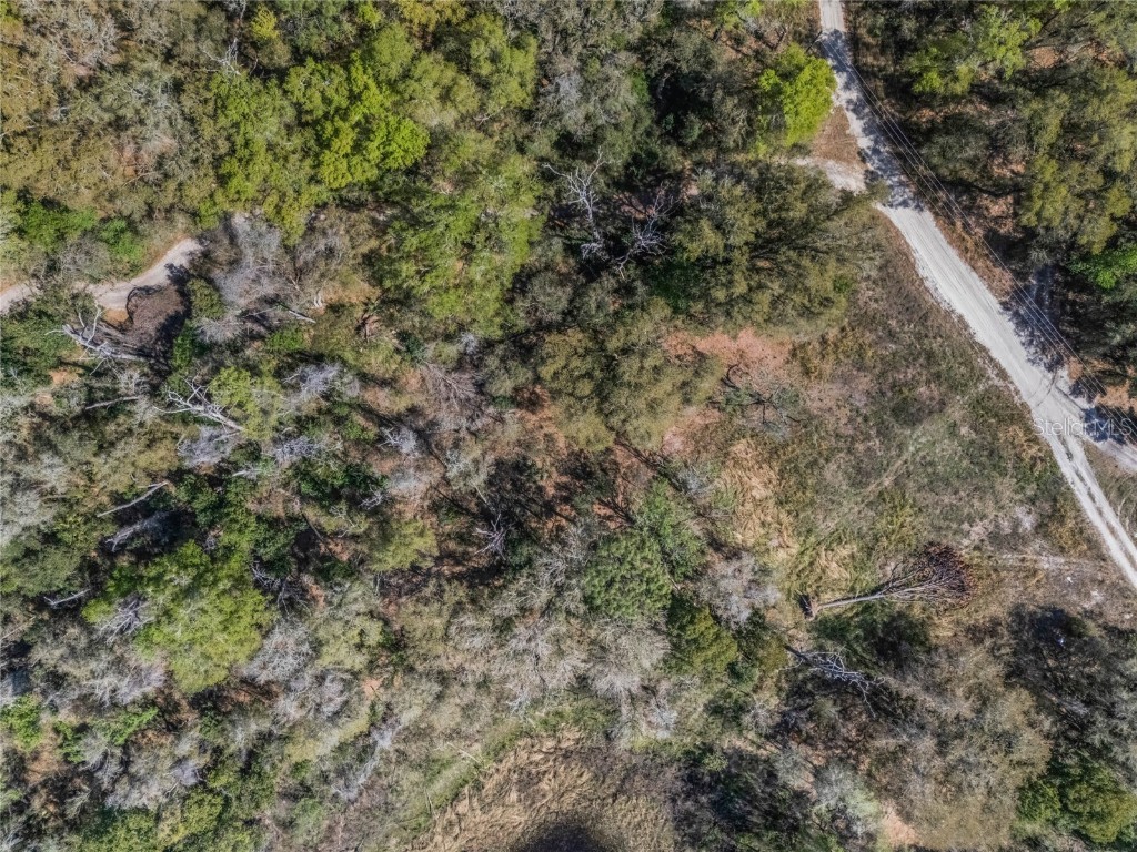 2208 Eisenhower Street Inverness FL 34453 O6290206 image12