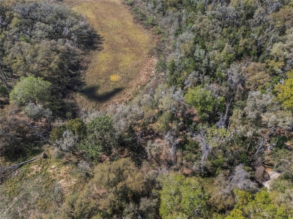 2208 Eisenhower Street Inverness FL 34453 O6290206 image13