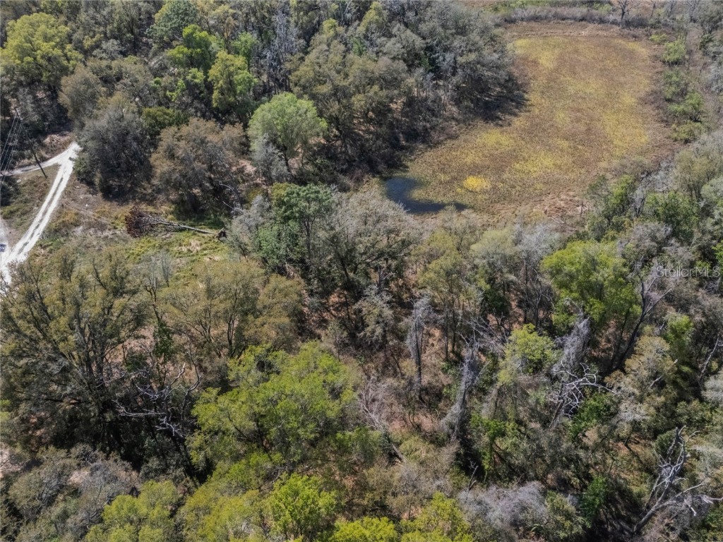 2208 Eisenhower Street Inverness FL 34453 O6290206 image16