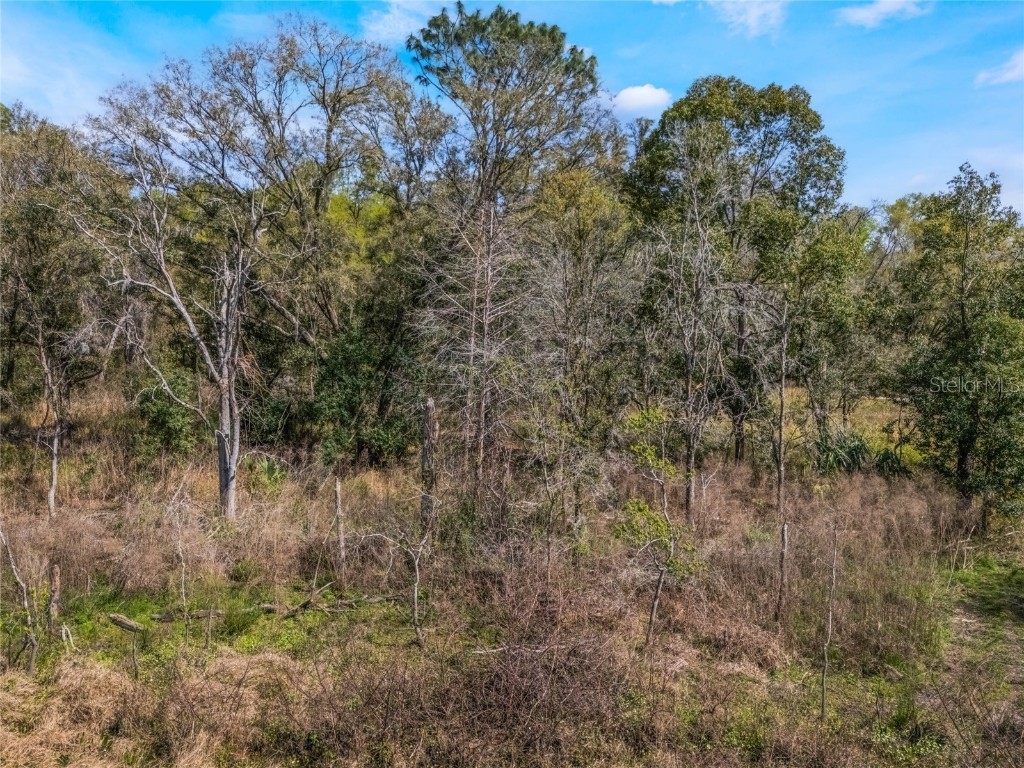 2208 Eisenhower Street Inverness FL 34453 O6290206 image2