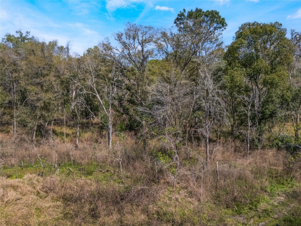 2208 Eisenhower Street Inverness FL 34453 O6290206 image3