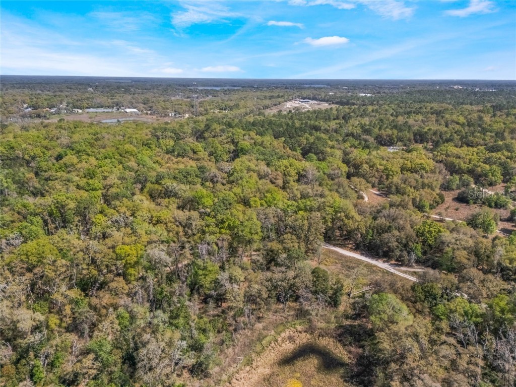 2208 Eisenhower Street Inverness FL 34453 O6290206 image5