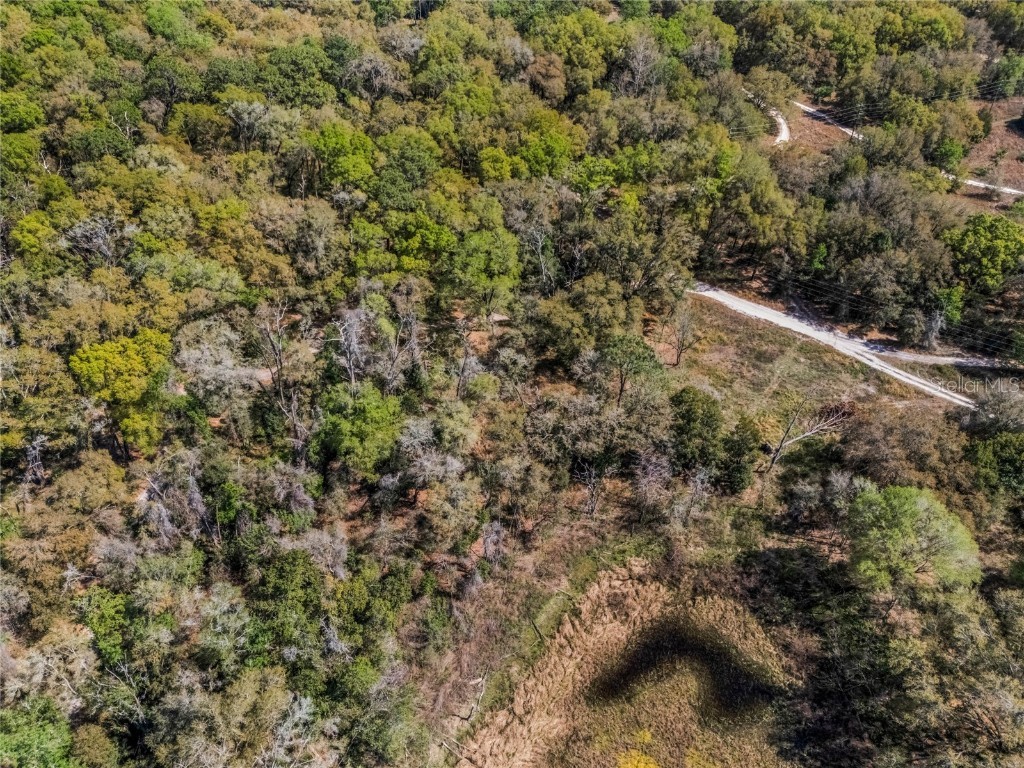 2208 Eisenhower Street Inverness FL 34453 O6290206 image8