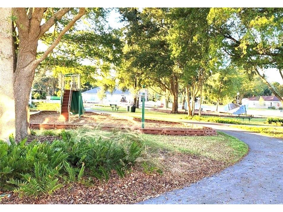 2208 Gopher Tortoise Terrace Oakland FL 34787 O6396502 image44