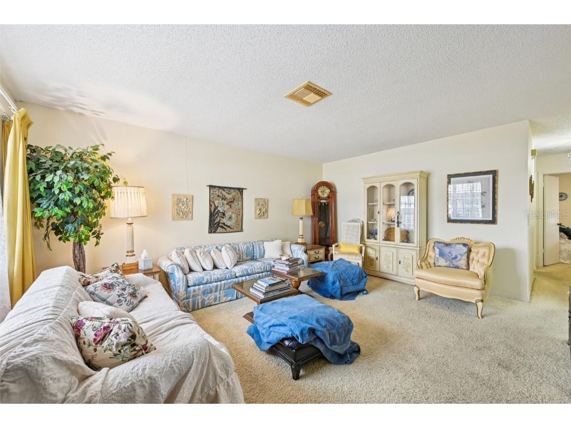 2208 Grenadier Drive Sun City Center FL 33573 TB8409434 image3