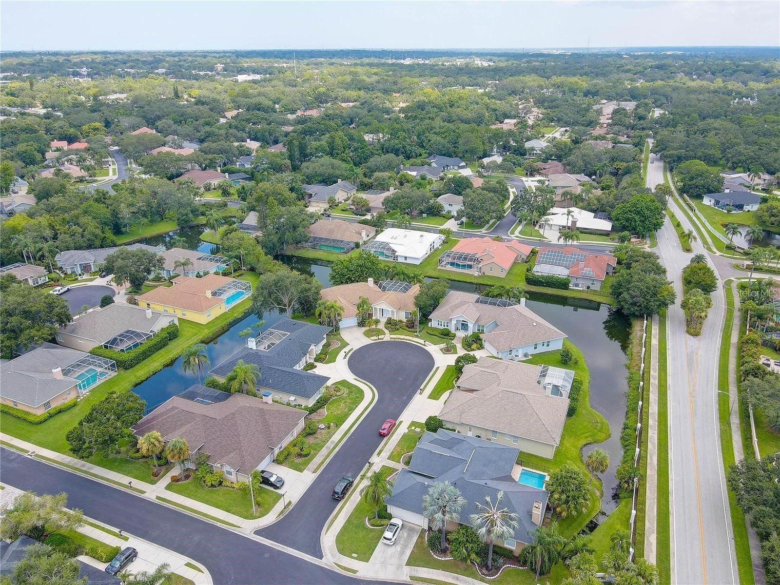 2208 Hampstead Court Safety Harbor FL 34695 TB8517194 image4