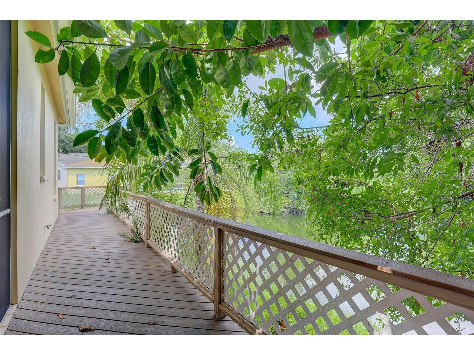 2208 Hampstead Court Safety Harbor FL 34695 TB8517194 image41