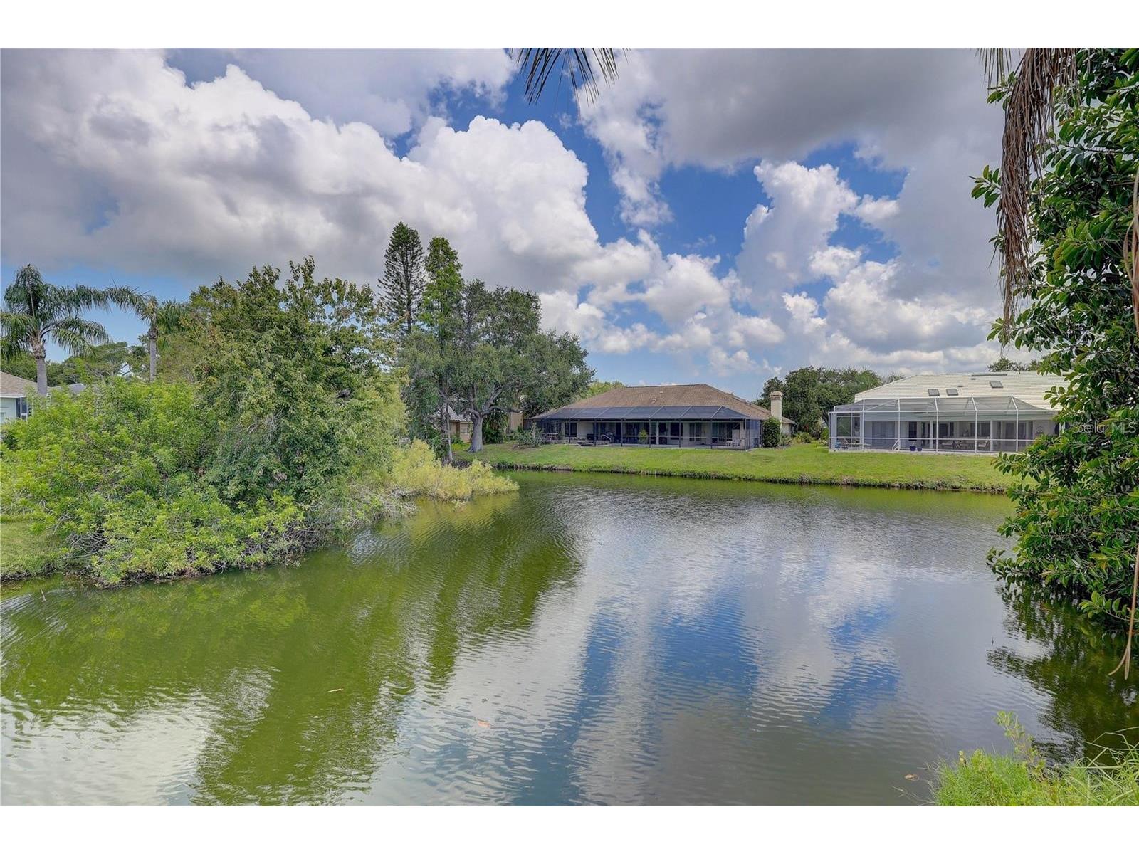 2208 Hampstead Court Safety Harbor FL 34695 TB8517194 image45
