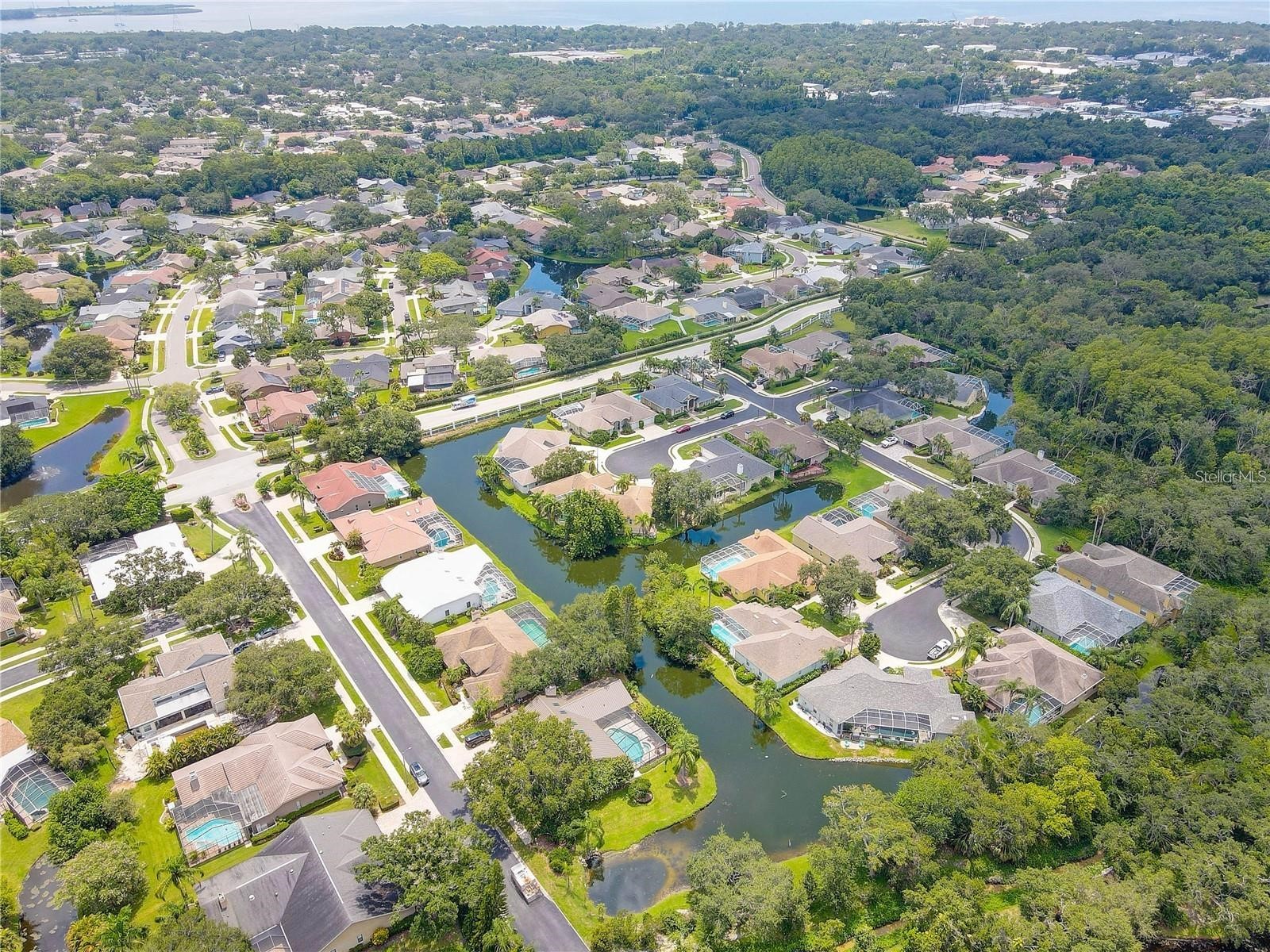 2208 Hampstead Court Safety Harbor FL 34695 TB8517194 image46