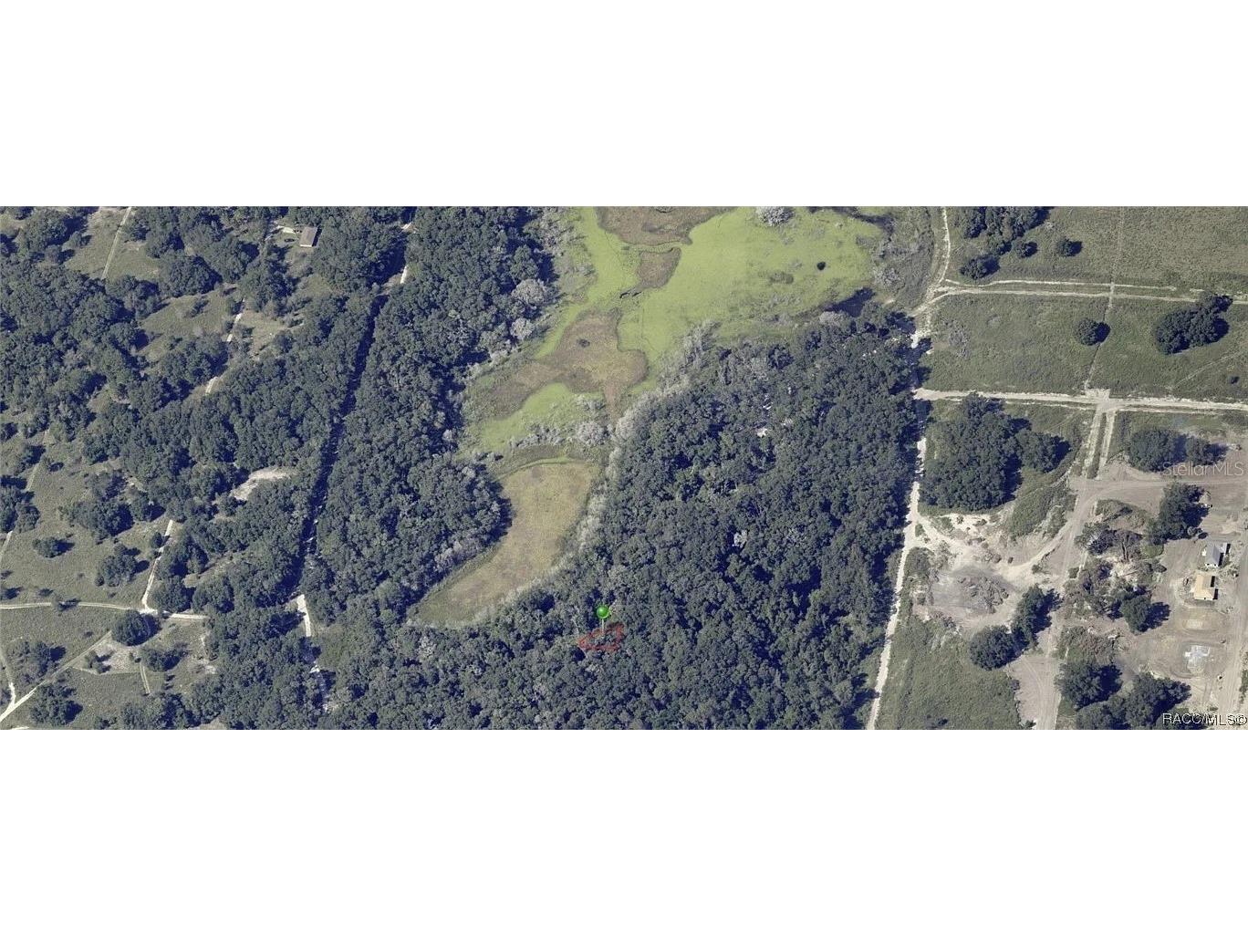 2208 Mistletoe Street Inverness FL 34453 S5144673 image1
