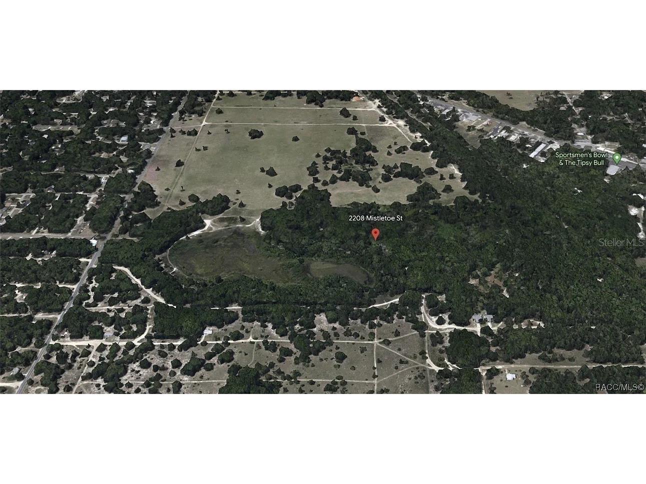 2208 Mistletoe Street Inverness FL 34453 S5144673 image2