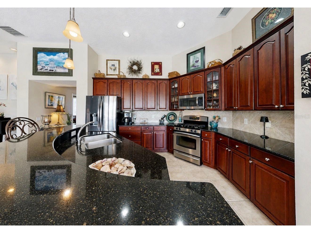 2208 Myrtle Vista Court Sun City Center FL 33573 TB8506307 image22