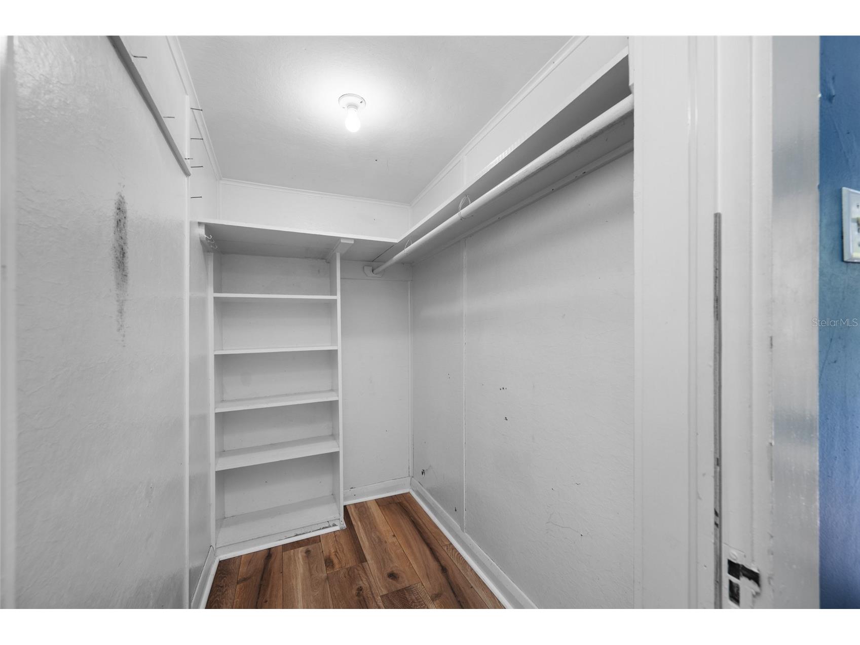 2208 N Lincoln Avenue Tampa FL 33607 TB8531823 image22