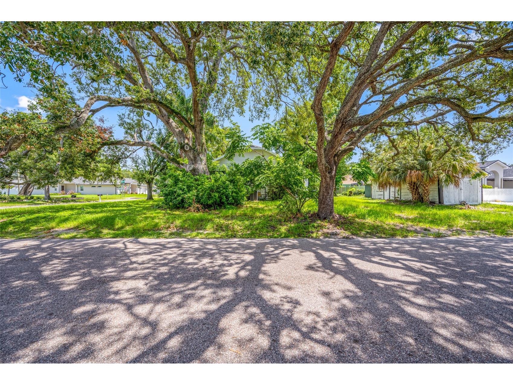 2208 N Lincoln Avenue Tampa FL 33607 TB8531823 image7