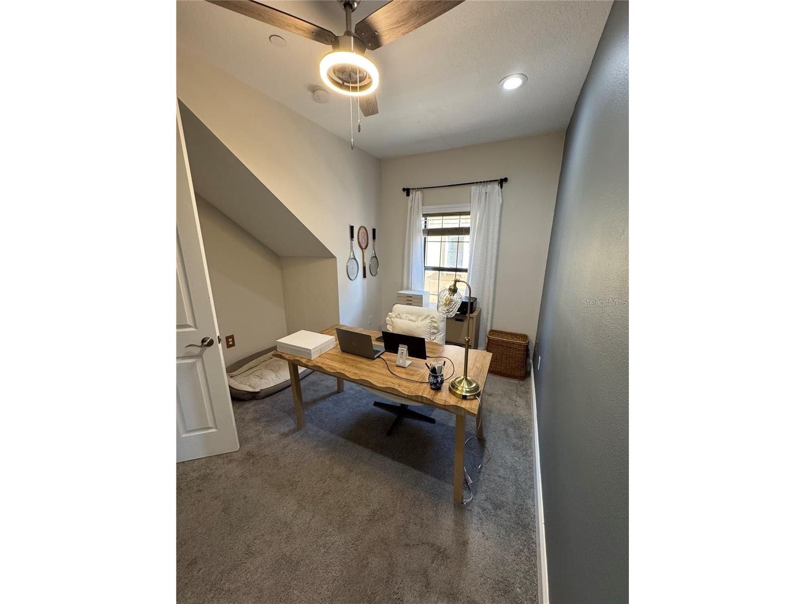 2208 Soho Bay Court Tampa FL 33606 TB8497263 image30