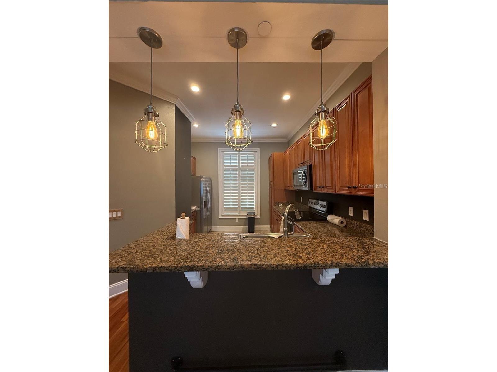 2208 Soho Bay Court Tampa FL 33606 TB8497263 image4