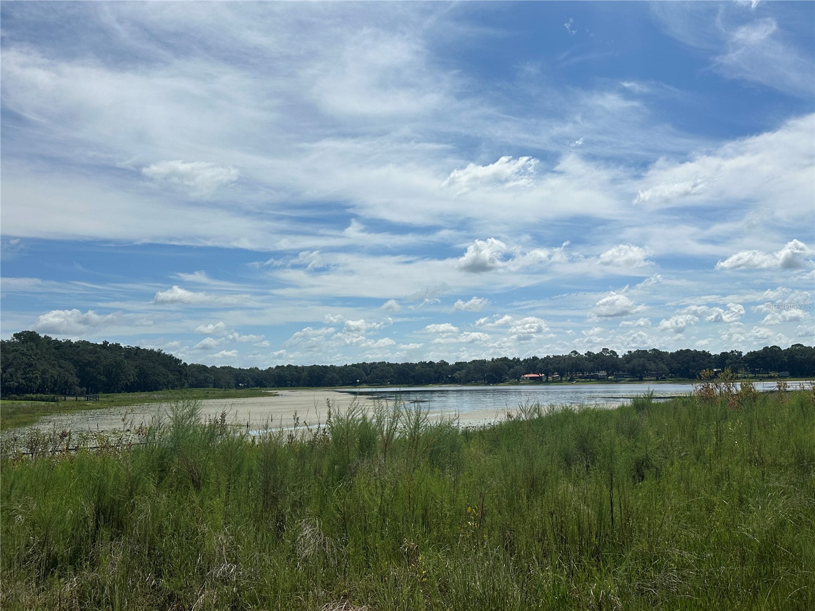 2208 SW Shorewood Drive Dunnellon FL 34431 - Tiger Lake TB8422963 image1