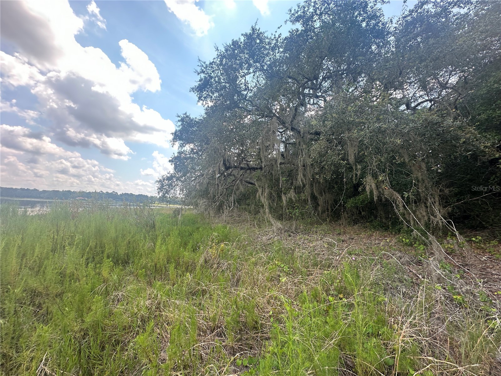 2208 SW Shorewood Drive Dunnellon FL 34431 - Tiger Lake TB8422963 image21