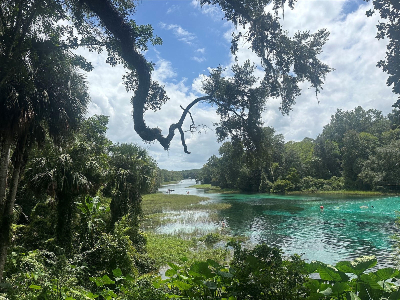 2208 SW Shorewood Drive Dunnellon FL 34431 - Tiger Lake TB8422963 image35