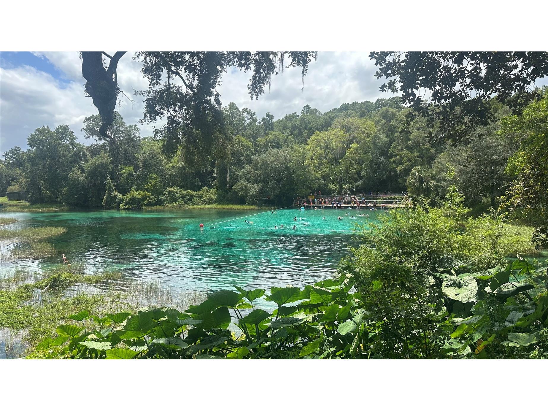 2208 SW Shorewood Drive Dunnellon FL 34431 - Tiger Lake TB8422963 image37