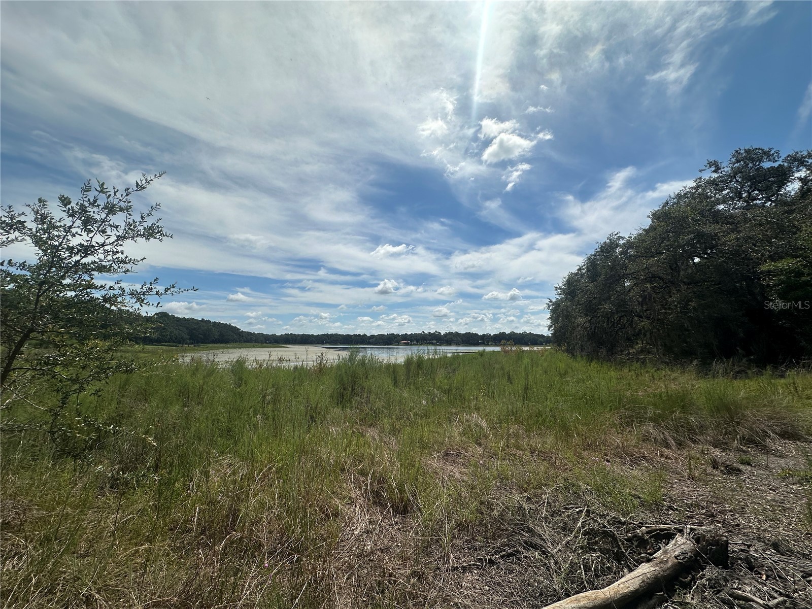 2208 SW Shorewood Drive Dunnellon FL 34431 - Tiger Lake TB8422963 image4