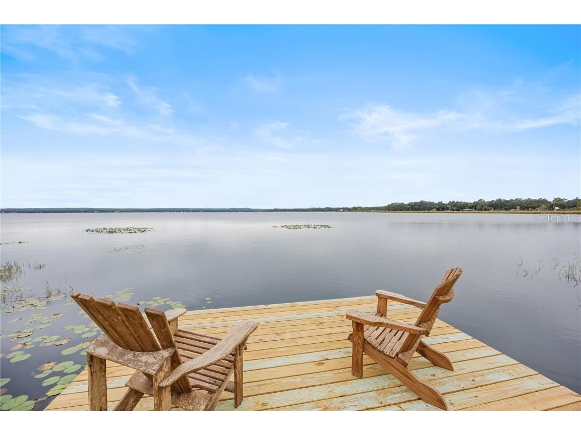 22080 E Highway 316 Salt Springs FL 32134 - LAKE KERR OM712826 image1