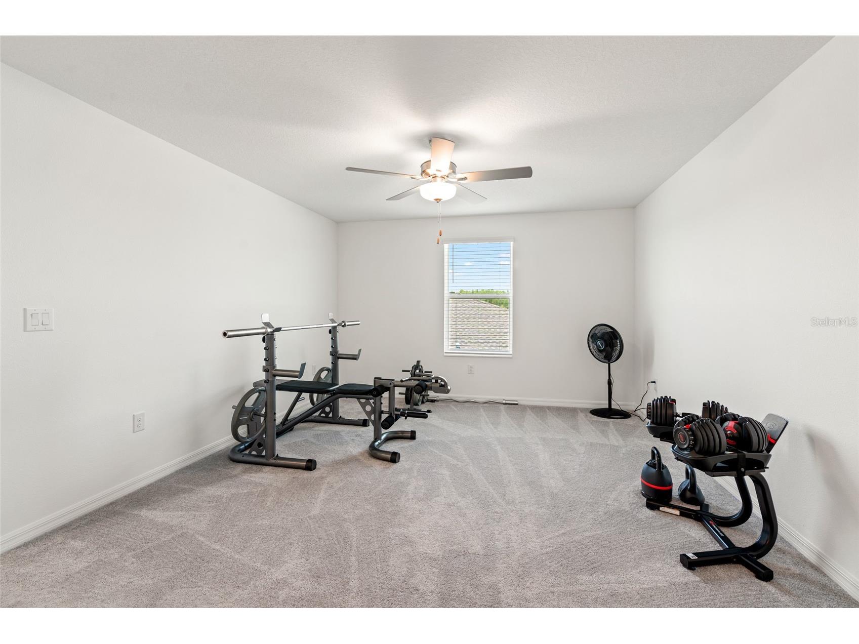 22083 Blazing Star Run Land O Lakes FL 34637 TB8488613 image27