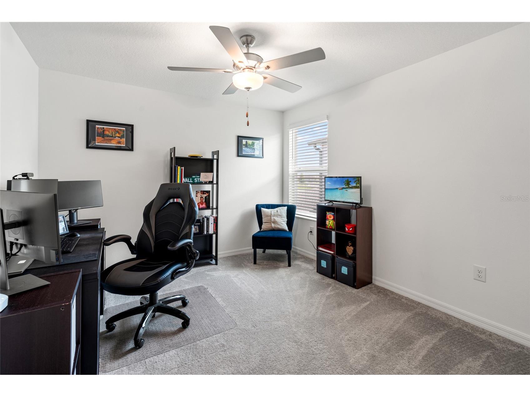 22083 Blazing Star Run Land O Lakes FL 34637 TB8488613 image33