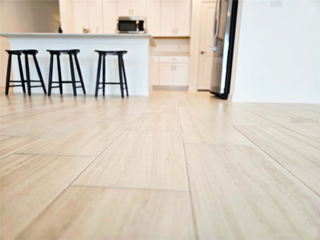 22083 Nebula Way Land O Lakes FL 34637 TB8453076 image12