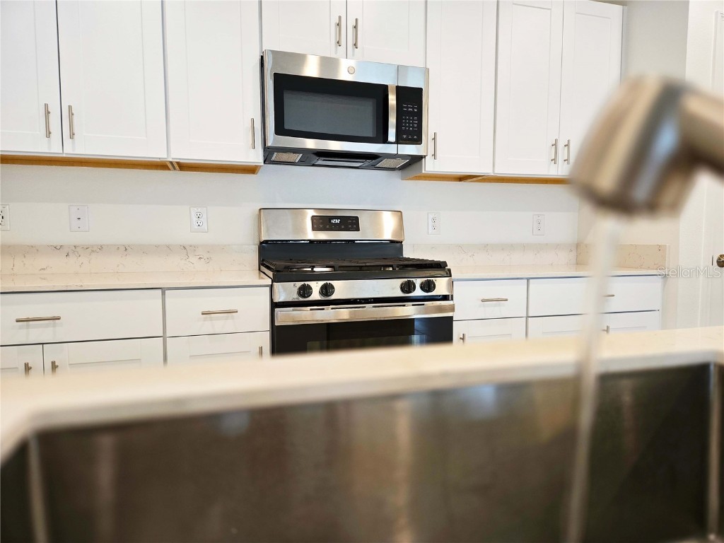 22083 Nebula Way Land O Lakes FL 34637 TB8453076 image9